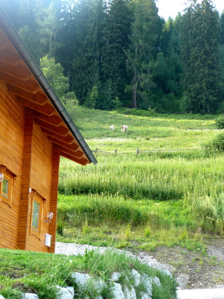 Log_Holiday_Village_Austria_20.jpg